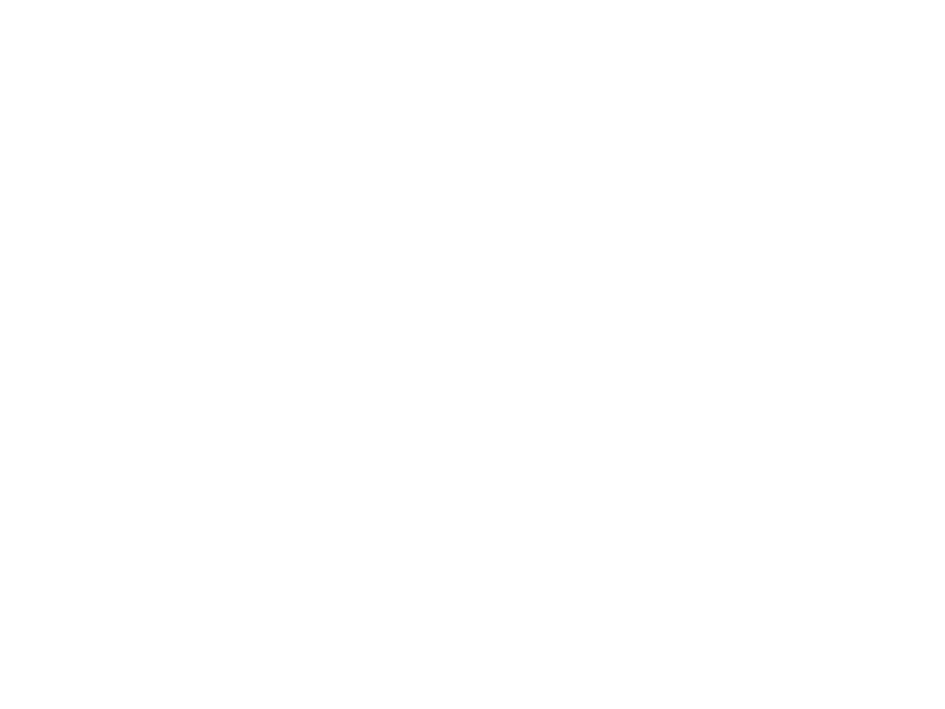 icon checkliste