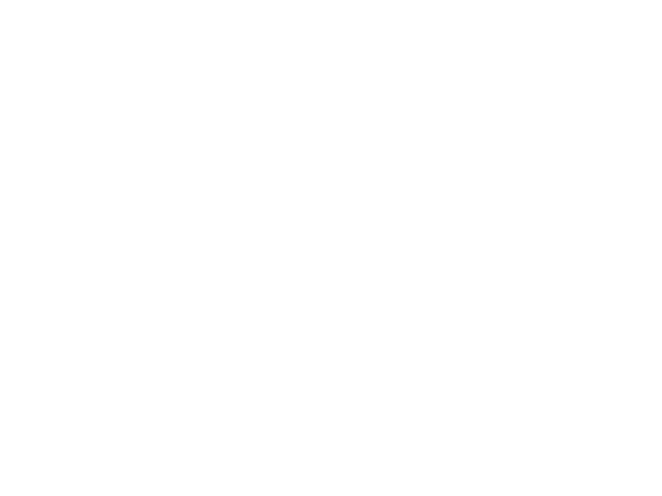 icon spachwahl